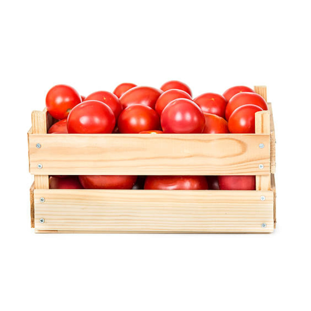 طماط عمان كرتون